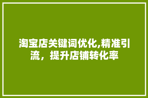 淘宝店关键词优化,精准引流，提升店铺转化率