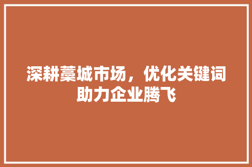 深耕藁城市场，优化关键词助力企业腾飞