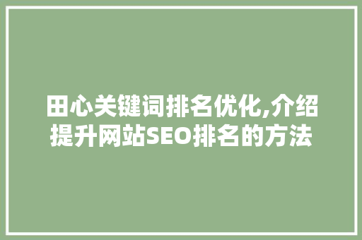田心关键词排名优化,介绍提升网站SEO排名的方法