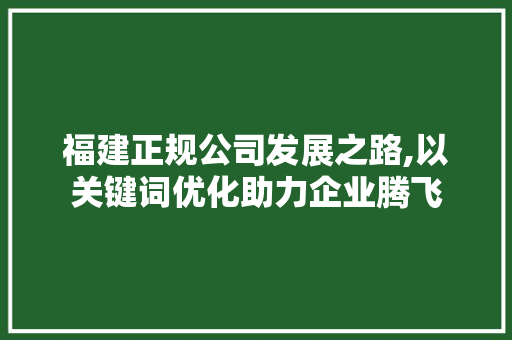 福建正规公司发展之路,以关键词优化助力企业腾飞
