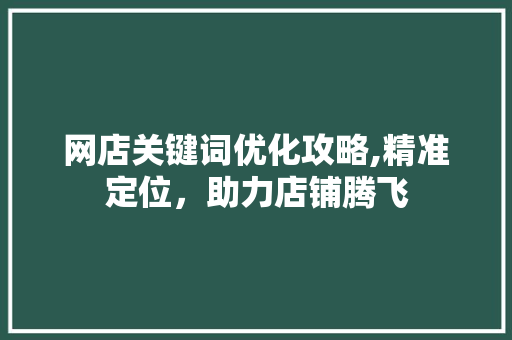 网店关键词优化攻略,精准定位，助力店铺腾飞