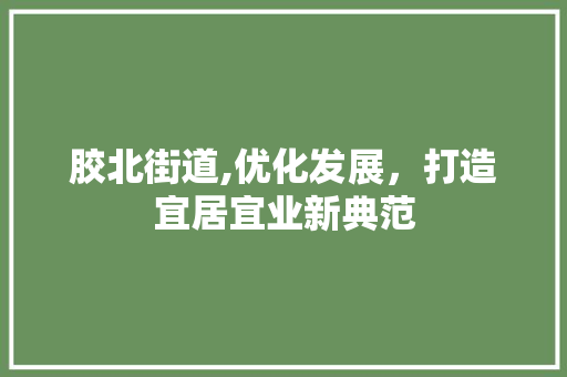 胶北街道,优化发展，打造宜居宜业新典范