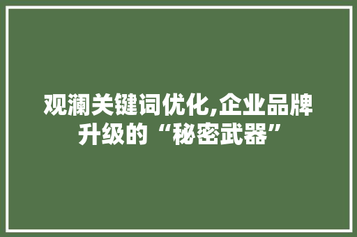 观澜关键词优化,企业品牌升级的“秘密武器” 编程语言