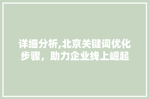 详细分析,北京关键词优化步骤，助力企业线上崛起