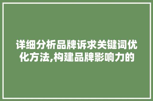详细分析品牌诉求关键词优化方法,构建品牌影响力的方法