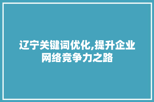 辽宁关键词优化,提升企业网络竞争力之路
