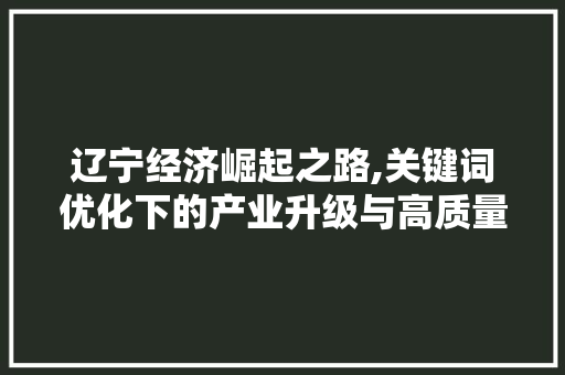 辽宁经济崛起之路,关键词优化下的产业升级与高质量发展 操作系统