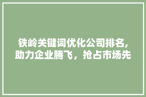 铁岭关键词优化公司排名,助力企业腾飞，抢占市场先机