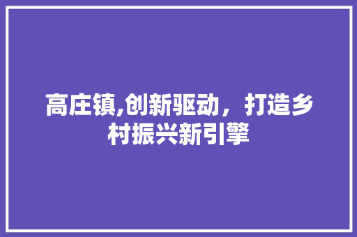 高庄镇,创新驱动，打造乡村振兴新引擎