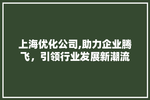上海优化公司,助力企业腾飞，引领行业发展新潮流