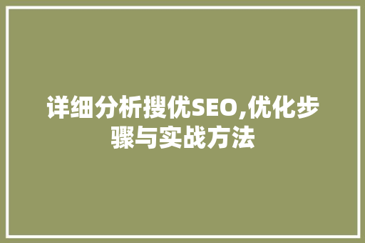 详细分析搜优SEO,优化步骤与实战方法