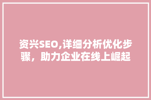 资兴SEO,详细分析优化步骤，助力企业在线上崛起