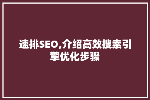 速排SEO,介绍高效搜索引擎优化步骤