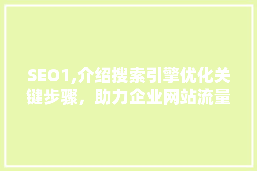 SEO1,介绍搜索引擎优化关键步骤，助力企业网站流量提升