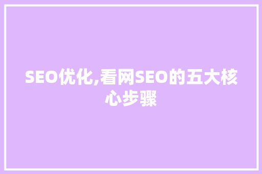 SEO优化,看网SEO的五大核心步骤 SEO优化,看网SEO的五大核心步骤