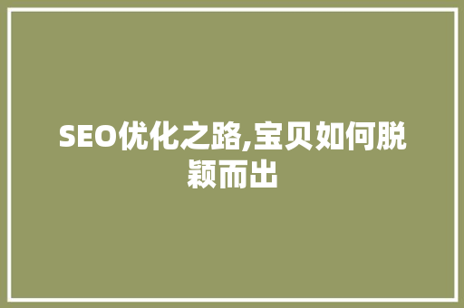 SEO优化之路,宝贝如何脱颖而出