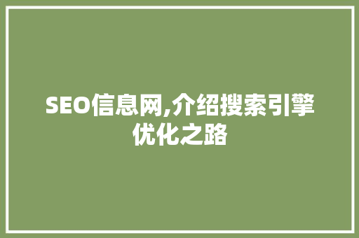 SEO信息网,介绍搜索引擎优化之路