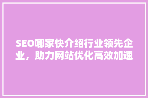 SEO哪家快介绍行业领先企业，助力网站优化高效加速