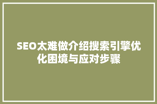 SEO太难做介绍搜索引擎优化困境与应对步骤