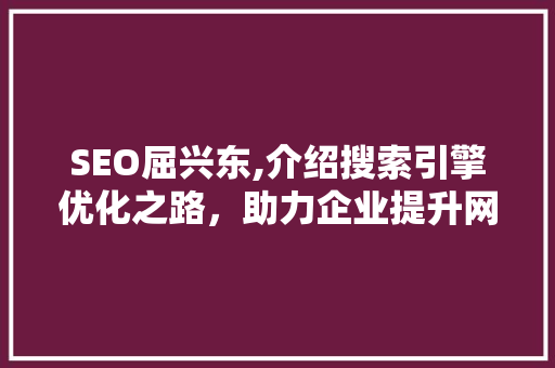 SEO屈兴东,介绍搜索引擎优化之路，助力企业提升网络竞争力