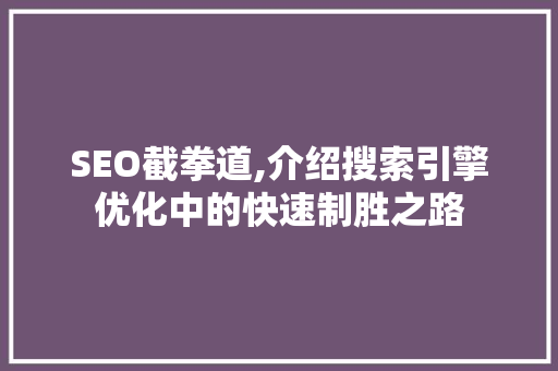 SEO截拳道,介绍搜索引擎优化中的快速制胜之路
