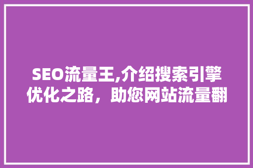 SEO流量王,介绍搜索引擎优化之路，助您网站流量翻倍增长