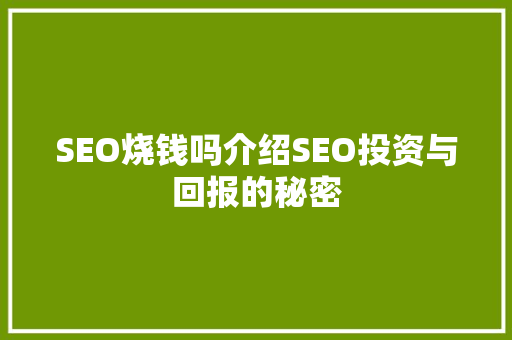 SEO烧钱吗介绍SEO投资与回报的秘密