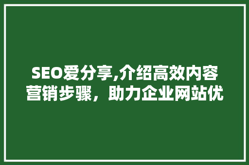 SEO爱分享,介绍高效内容营销步骤，助力企业网站优化 编程语言