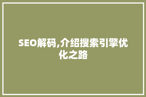 SEO解码,介绍搜索引擎优化之路