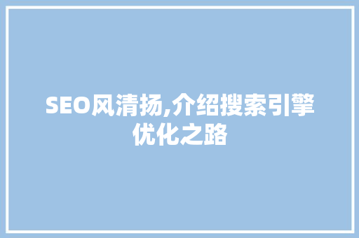 SEO风清扬,介绍搜索引擎优化之路