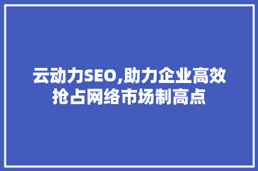 云动力SEO,助力企业高效抢占网络市场制高点