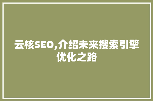 云核SEO,介绍未来搜索引擎优化之路
