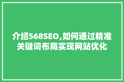 介绍568SEO,如何通过精准关键词布局实现网站优化