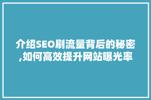 介绍SEO刷流量背后的秘密,如何高效提升网站曝光率