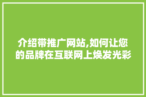 介绍带推广网站,如何让您的品牌在互联网上焕发光彩