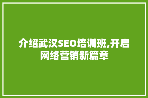 介绍武汉SEO培训班,开启网络营销新篇章