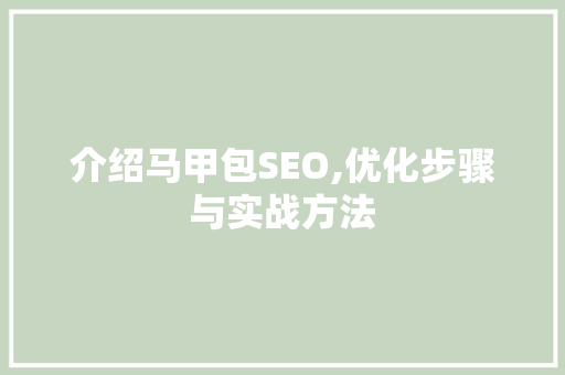 介绍马甲包SEO,优化步骤与实战方法