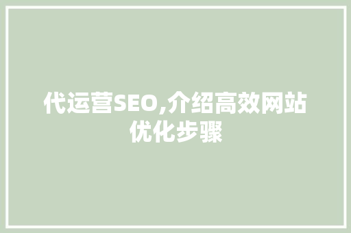 代运营SEO,介绍高效网站优化步骤