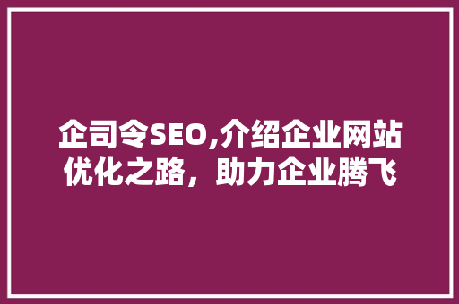 企司令SEO,介绍企业网站优化之路，助力企业腾飞
