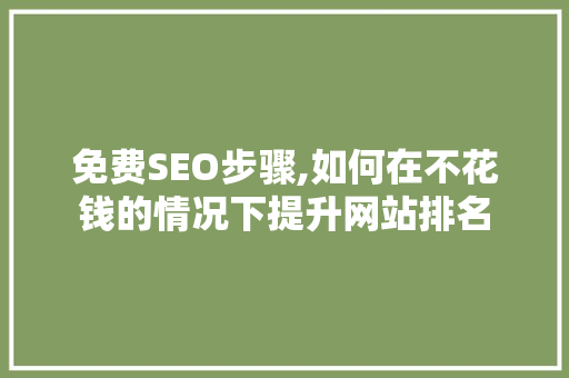 免费SEO步骤,如何在不花钱的情况下提升网站排名 电脑基础
