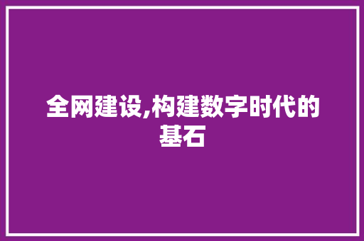 全网建设,构建数字时代的基石