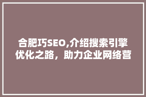 合肥巧SEO,介绍搜索引擎优化之路，助力企业网络营销新篇章 电脑基础