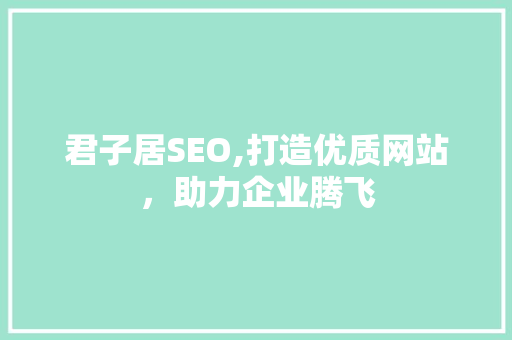 君子居SEO,打造优质网站，助力企业腾飞