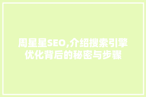周星星SEO,介绍搜索引擎优化背后的秘密与步骤 编程语言