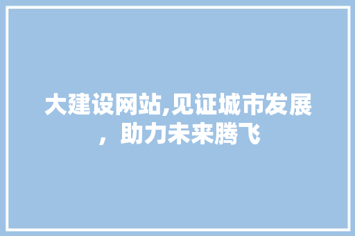 大建设网站,见证城市发展，助力未来腾飞