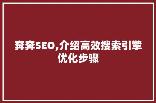 奔奔SEO,介绍高效搜索引擎优化步骤 奔奔SEO,介绍高效搜索引擎优化步骤