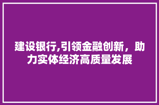 建设银行,引领金融创新，助力实体经济高质量发展 操作系统