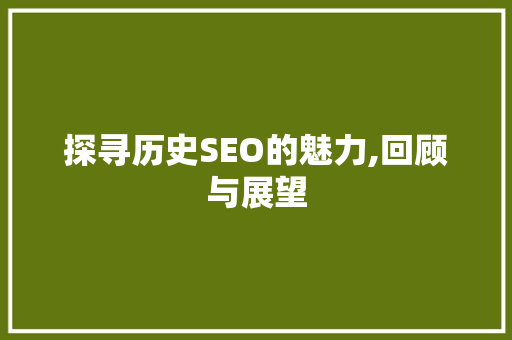 探寻历史SEO的魅力,回顾与展望