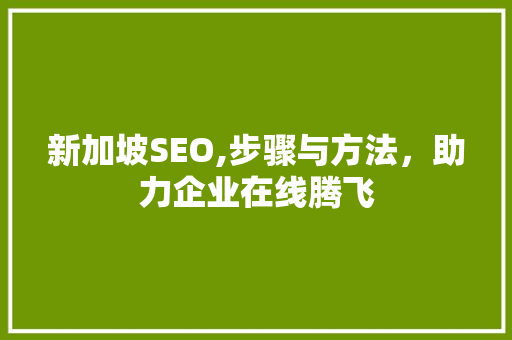 新加坡SEO,步骤与方法，助力企业在线腾飞