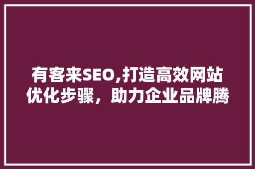 有客来SEO,打造高效网站优化步骤，助力企业品牌腾飞
